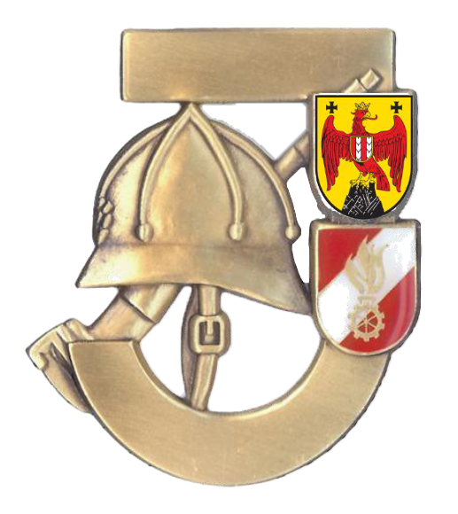 Bild von einem Feuerwehrjugend-Leistungsabzeichen in Gold (FJLAG)
